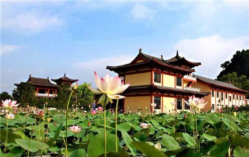 2017贵港房价走势如何  千万别错过贵港的这些楼盘