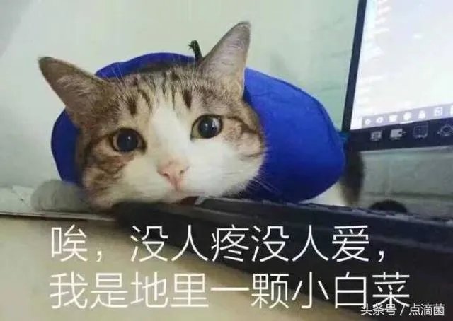 YHboys与TFboys你更喜欢那个组合？