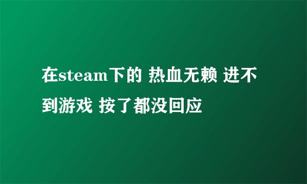 在steam下的 热血无赖 进不到游戏 按了都没回应