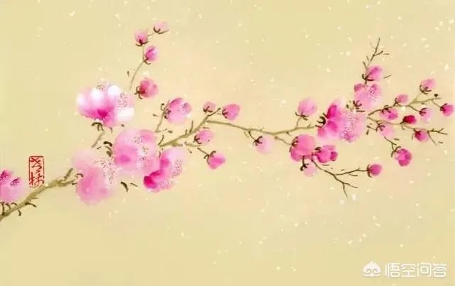 15岁少年飙车意外身亡，过路司机判责51万，你怎么看？