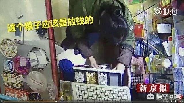 一名女子七年偷52万