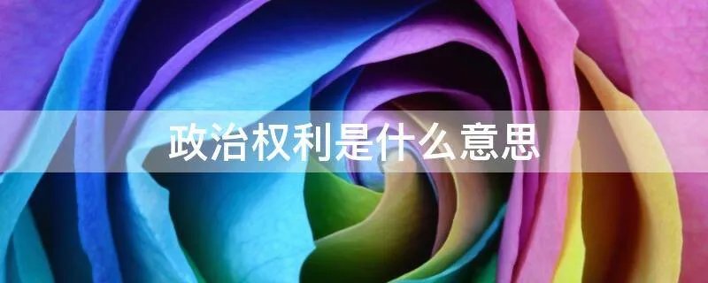 政治权利是什么意思