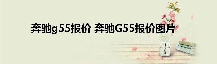 奔驰g55报价 奔驰G55报价图片