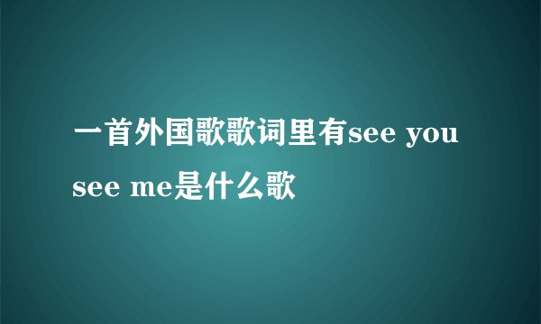 一首外国歌歌词里有see you see me是什么歌