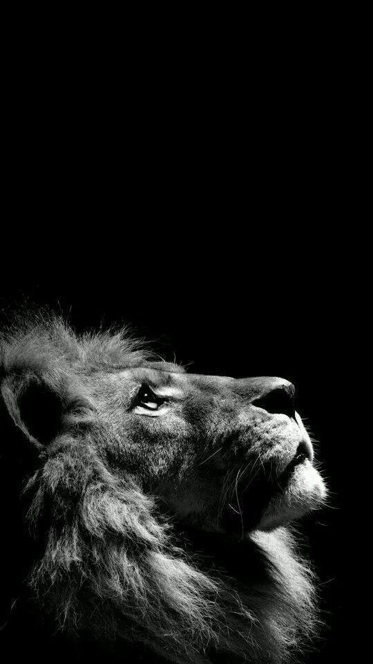 好看的锁屏壁纸有可以分享的吗？