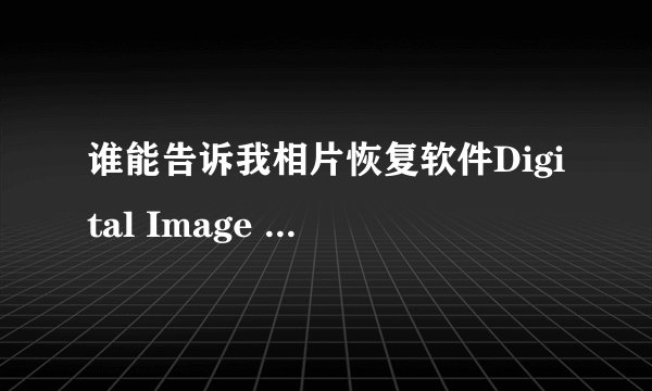 谁能告诉我相片恢复软件Digital Image Recovery具体怎么用，我是英文界面