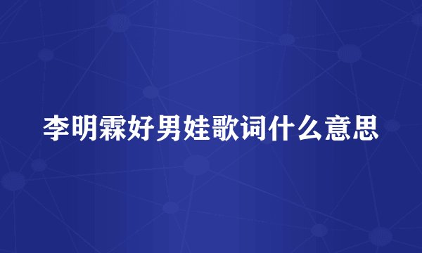 李明霖好男娃歌词什么意思