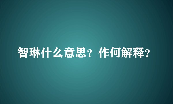 智琳什么意思？作何解释？