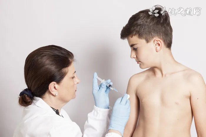 春分养生茶有哪些