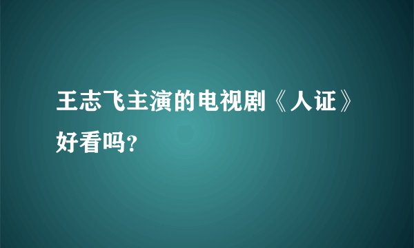 王志飞主演的电视剧《人证》好看吗?
