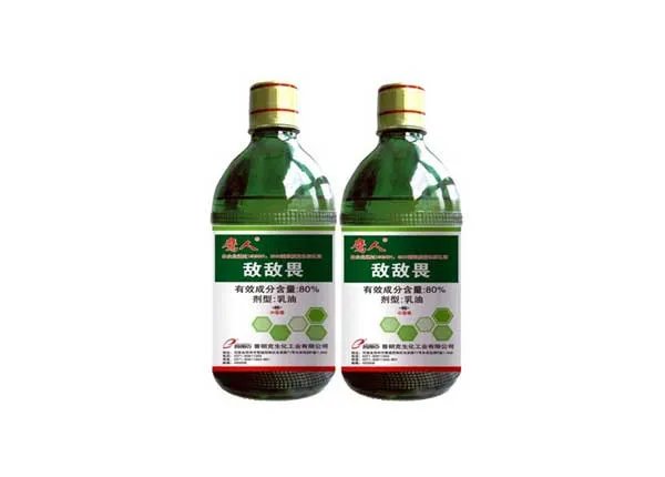 即墨海参违规养殖3人被控制