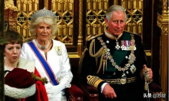 查尔斯王子确诊新冠肺炎意味着什么？