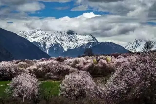 想加盟个家电清洗品牌，大家给个建议？