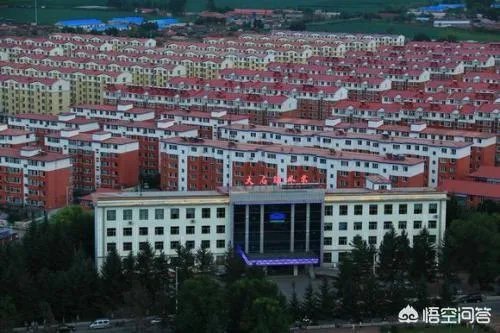 安图县最大的镇