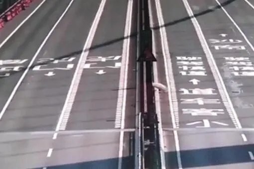 你认为虎门大桥震荡的原因是什么?