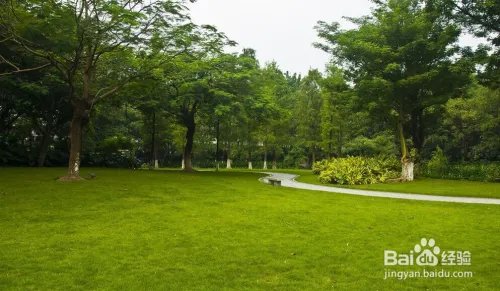 怎么防止撕名牌坠亡