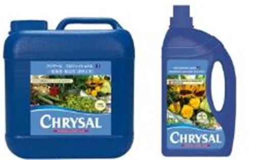 鲜花柜的作用 鲜花保鲜的方式