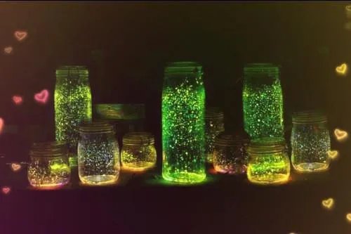 林晗姝顾南昇沈鸾小说 林晗姝顾南昇沈鸾免费阅读