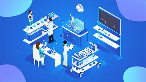 丁香的功效与作用