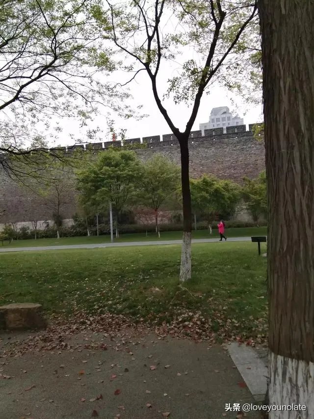 在家呆着好无聊昂,做些什么可以让一个人变得充实些?