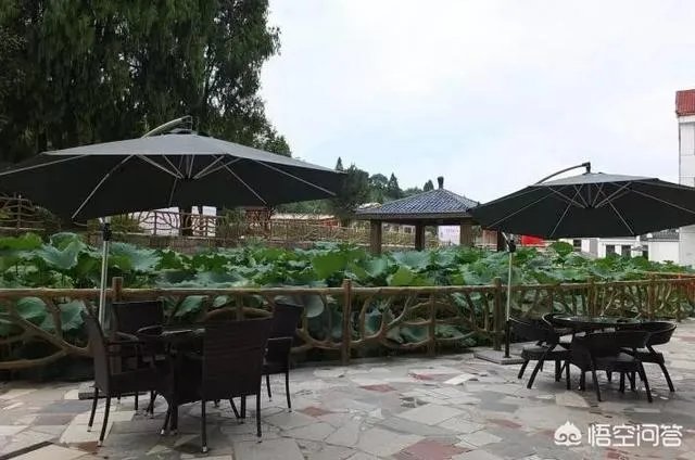 如何看待旅居养老？