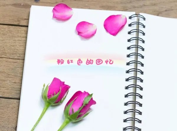粉红色的回忆英文版