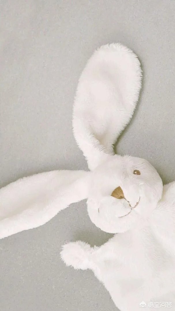 有没有粉色系头像？