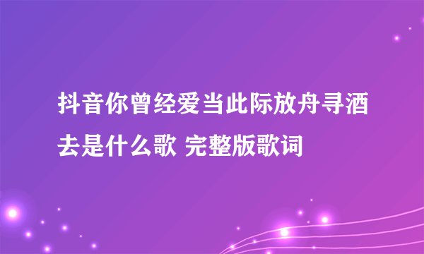 抖音你曾经爱当此际放舟寻酒去是什么歌 完整版歌词