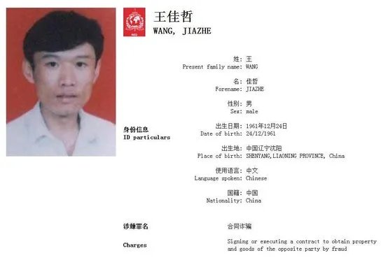 百名红通人员王佳哲投案自首是怎么回事？