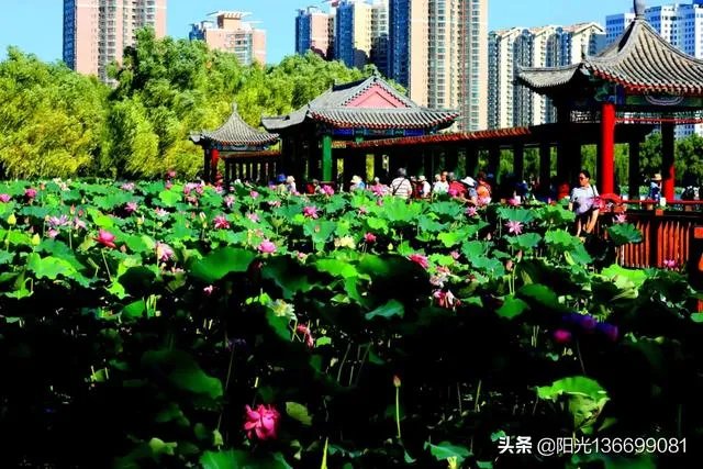 男生爱拍什么风格照片？ ？