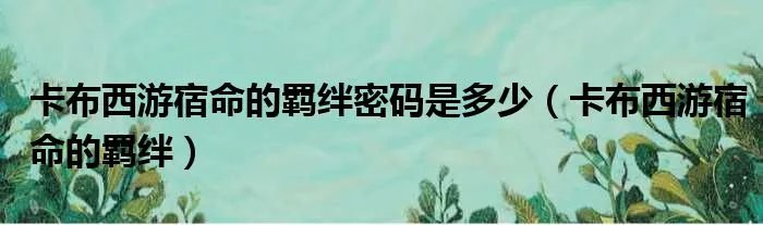 卡布西游宿命的羁绊密码是多少（卡布西游宿命的羁绊）