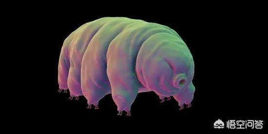 印度登月为什么会失败，这会严重打击印度的自信心吗？