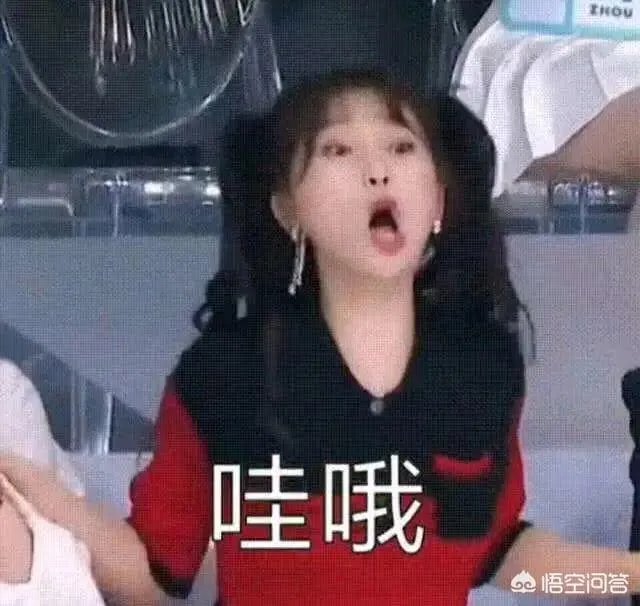 都有哪些明星在追青你2?