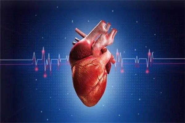 教育部将心肺复苏纳入教育内容的初衷是什么？