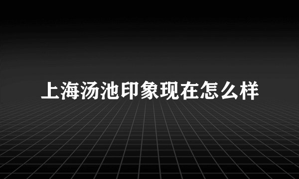 上海汤池印象现在怎么样