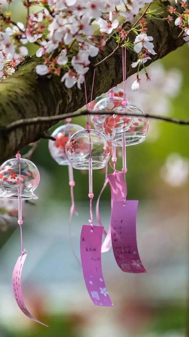 夏季脱毛用什么？