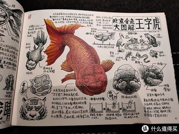 不求甚解集 篇二十：我们的八十年代：《漫步八十年代：老北京拾遗》