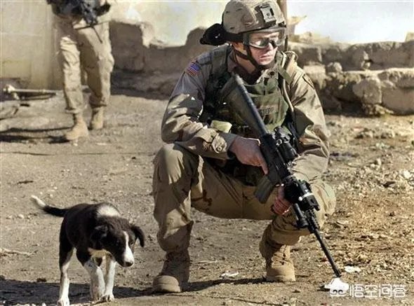 在高科技战争的今天，针对步枪的大规模改装是否还有意义？