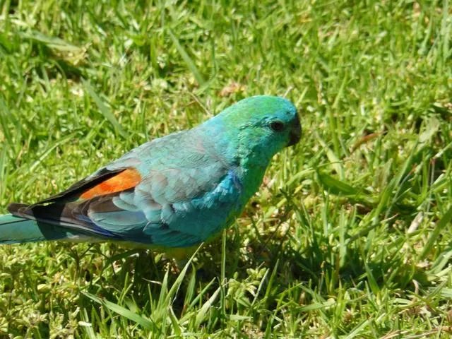 旅行途中你都见过哪些罕见的风景？