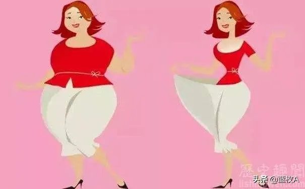 胖子和瘦子的世界，真的是天与地的差距吗？