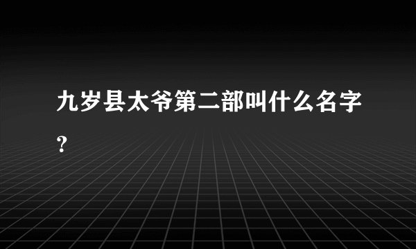 九岁县太爷第二部叫什么名字？