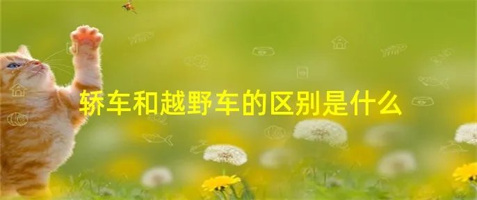 轿车和越野车的区别是什么