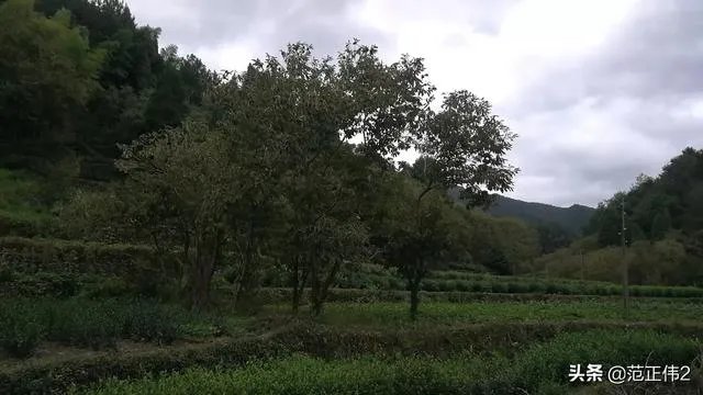 国庆长假,你们打算加班还是放假去城市周边旅游呢?