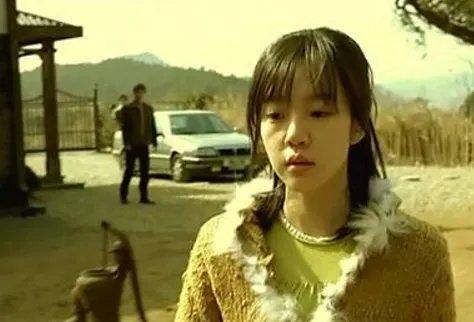 蔷花红莲剧情解析