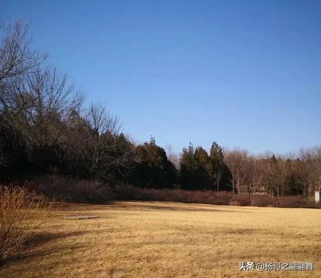 自媒体优质文章的标准是什么？