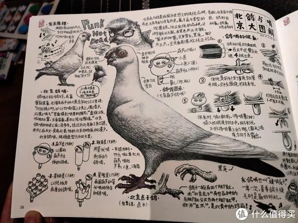 不求甚解集 篇二十：我们的八十年代：《漫步八十年代：老北京拾遗》