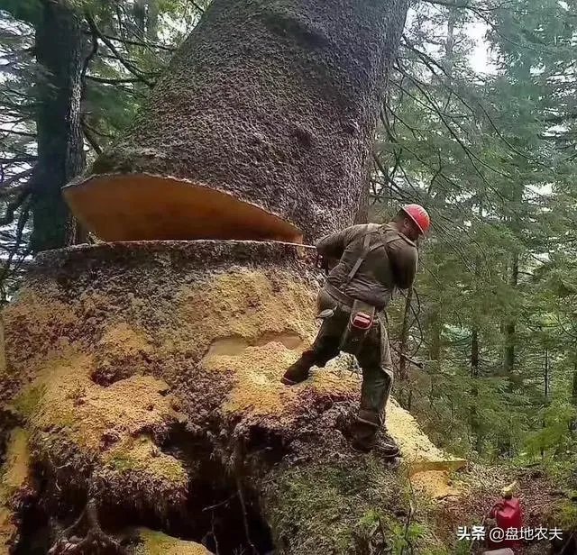 越南什么时候可以入境中国