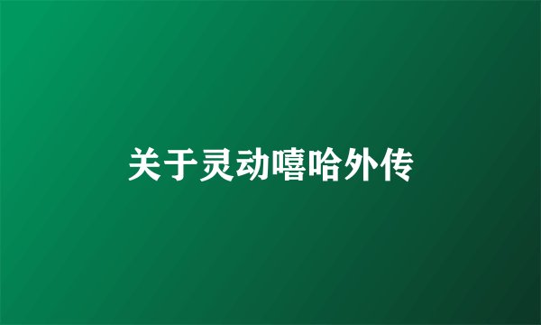 关于灵动嘻哈外传