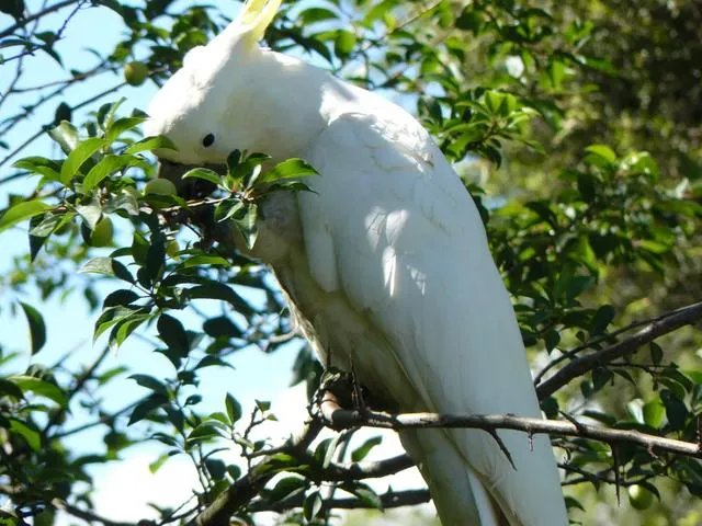 旅行途中你都见过哪些罕见的风景？