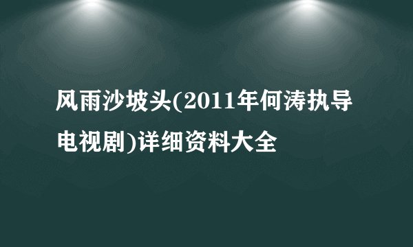 风雨沙坡头(2011年何涛执导电视剧)详细资料大全